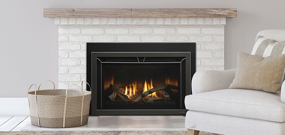 Heat n Glo Cosmo Gas insert