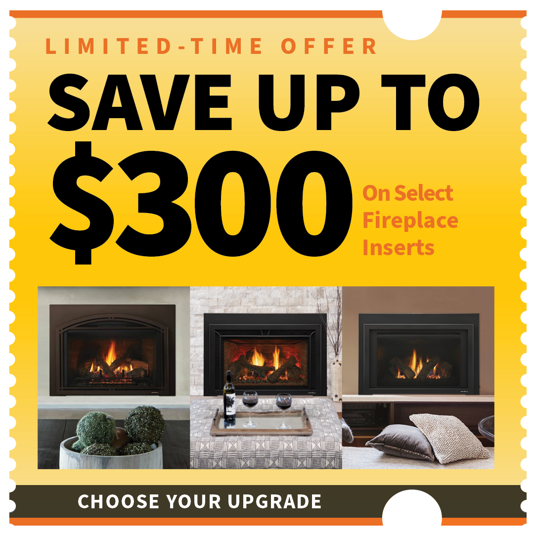 Gas Fireplace Inserts in Bechtelsville u0026 Schnecksville, PA | Kring's Hearth  u0026 Home